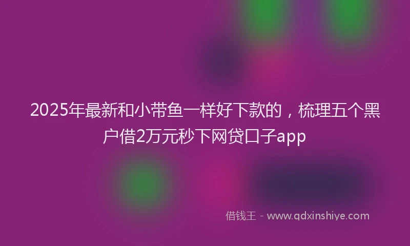 2025年最新和小带鱼一样好下款的，梳理五个黑户借2万元秒下网贷口子app