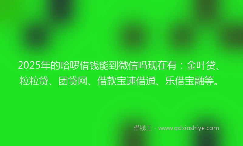 2025年的哈啰借钱能到微信吗现在有：金叶贷、粒粒贷、团贷网、借款宝速借通、乐借宝融等。