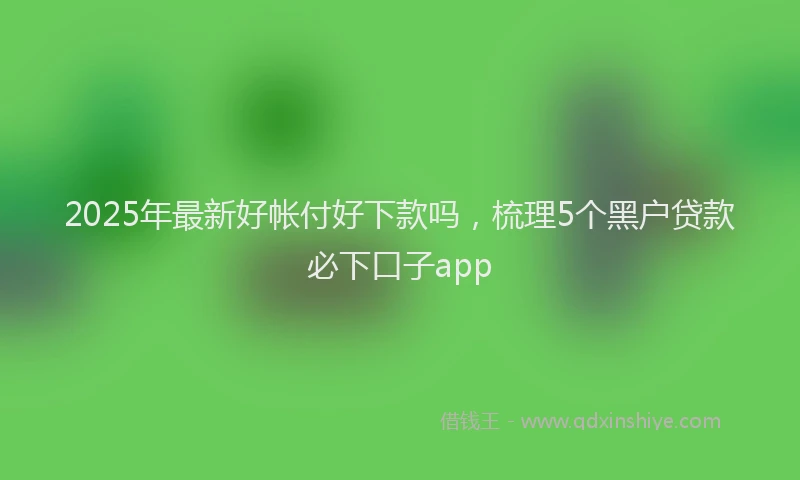 2025年最新好帐付好下款吗，梳理5个黑户贷款必下口子app