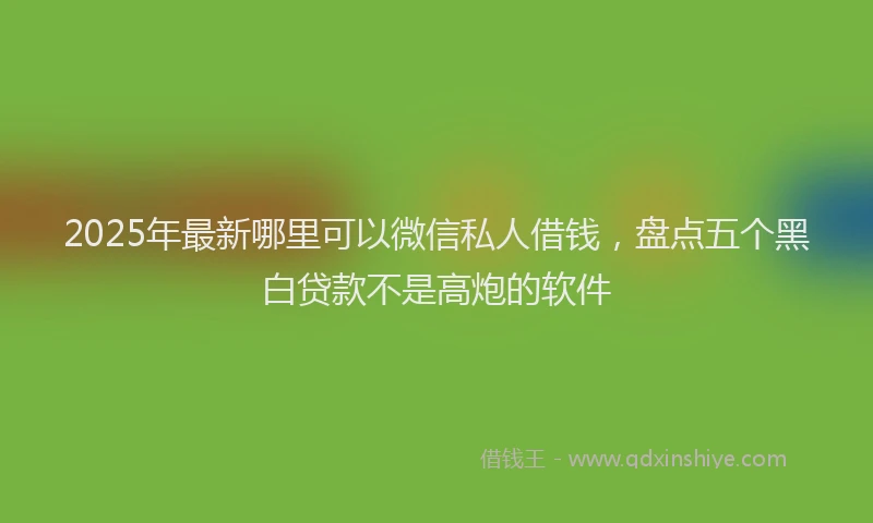 2025年最新哪里可以微信私人借钱，盘点五个黑白贷款不是高炮的软件