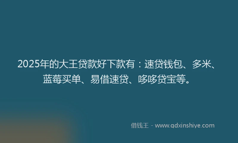 2025年的大王贷款好下款有：速贷钱包、多米、蓝莓买单、易借速贷、哆哆贷宝等。