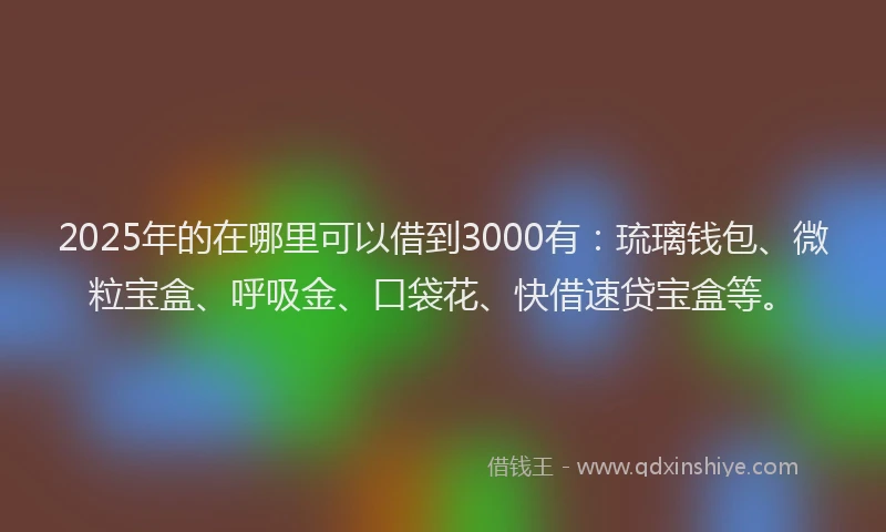 2025年的在哪里可以借到3000有：琉璃钱包、微粒宝盒、呼吸金、口袋花、快借速贷宝盒等。