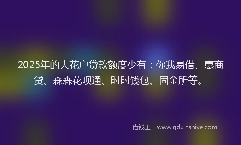 2025年的大花户贷款额度少有：你我易借、惠商贷、森森花呗通、时时钱包、固金所等。