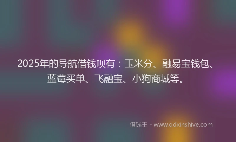 2025年的导航借钱呗有：玉米分、融易宝钱包、蓝莓买单、飞融宝、小狗商城等。