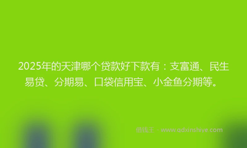 2025年的天津哪个贷款好下款有：支富通、民生易贷、分期易、口袋信用宝、小金鱼分期等。