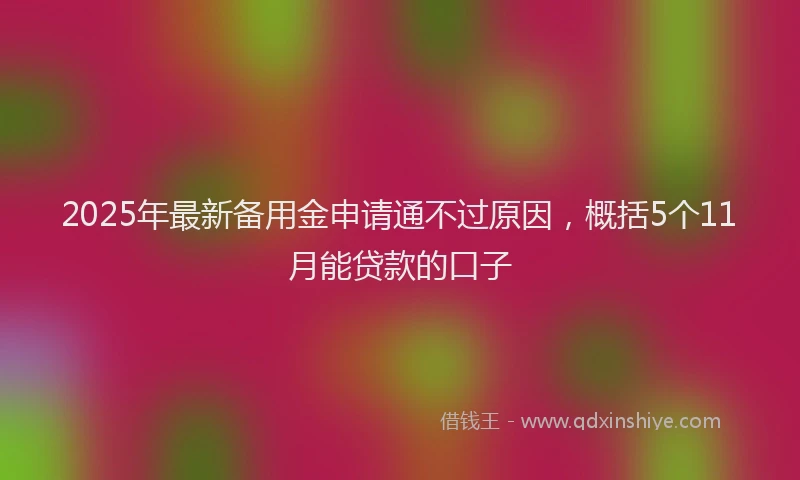 2025年最新备用金申请通不过原因，概括5个11月能贷款的口子