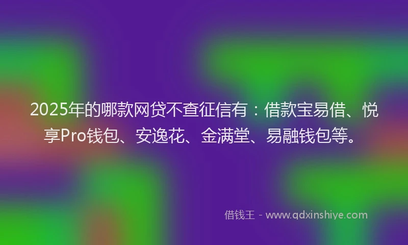 2025年的哪款网贷不查征信有：借款宝易借、悦享Pro钱包、安逸花、金满堂、易融钱包等。