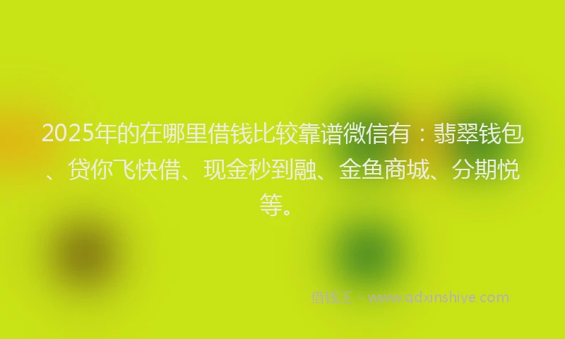 2025年的在哪里借钱比较靠谱微信有：翡翠钱包、贷你飞快借、现金秒到融、金鱼商城、分期悦等。