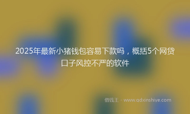 2025年最新小猪钱包容易下款吗，概括5个网贷口子风控不严的软件