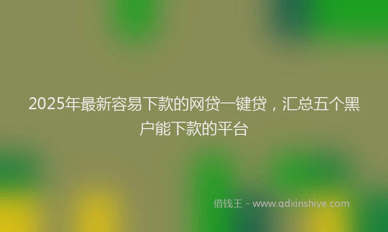 2025年最新容易下款的网贷一键贷，汇总五个黑户能下款的平台