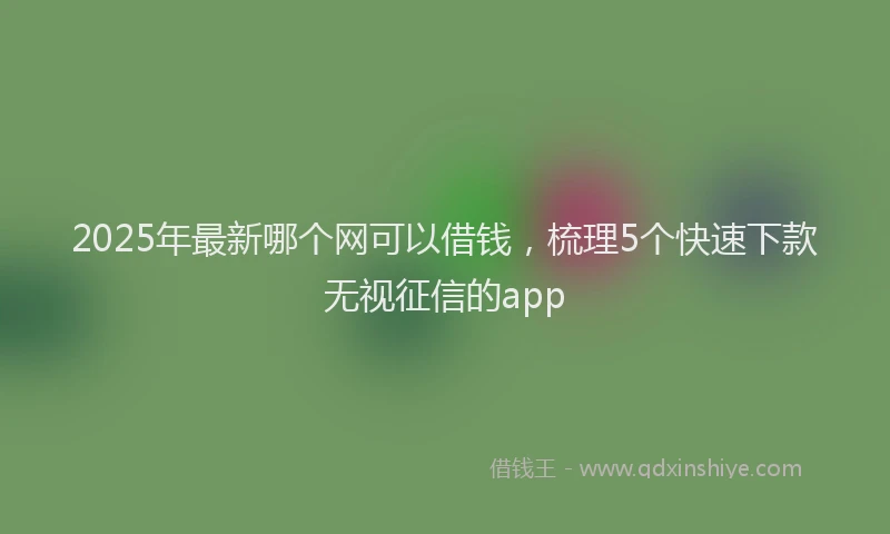 2025年最新哪个网可以借钱，梳理5个快速下款无视征信的app