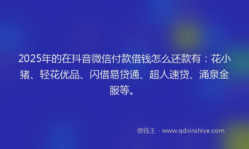 2025年的在抖音微信付款借钱怎么还款有：花小猪、轻花优品、闪借易贷通、超人速贷、涌泉金服等。