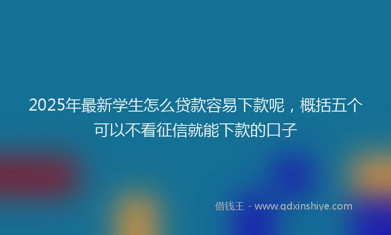2025年最新学生怎么贷款容易下款呢，概括五个可以不看征信就能下款的口子