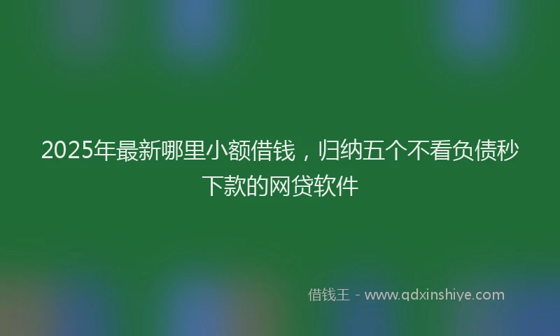 2025年最新哪里小额借钱，归纳五个不看负债秒下款的网贷软件