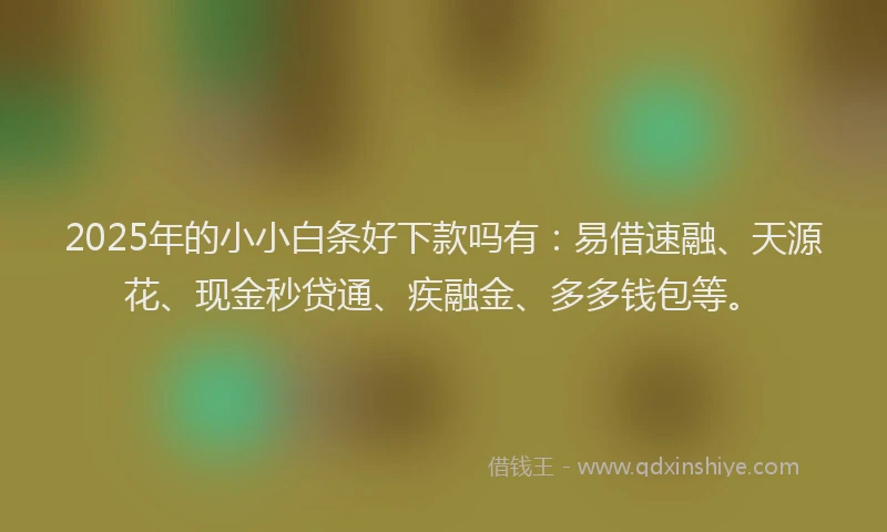 2025年的小小白条好下款吗有：易借速融、天源花、现金秒贷通、疾融金、多多钱包等。