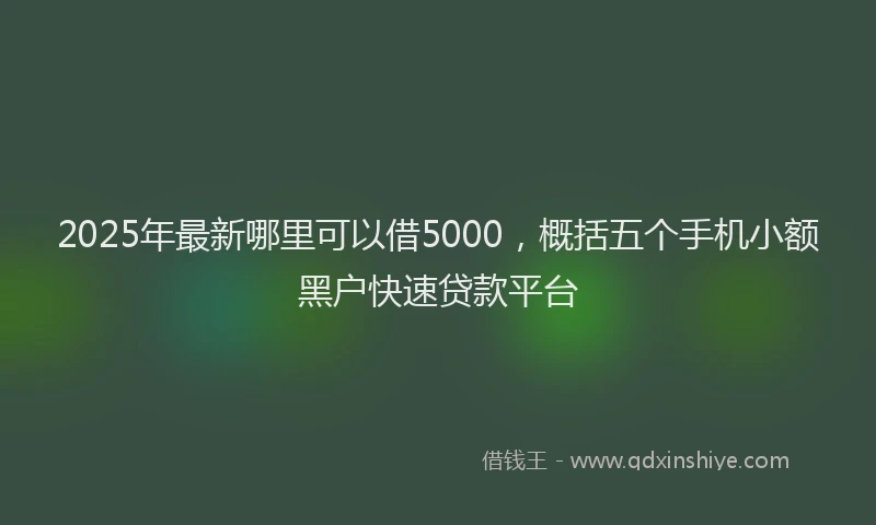 2025年最新哪里可以借5000，概括五个手机小额黑户快速贷款平台