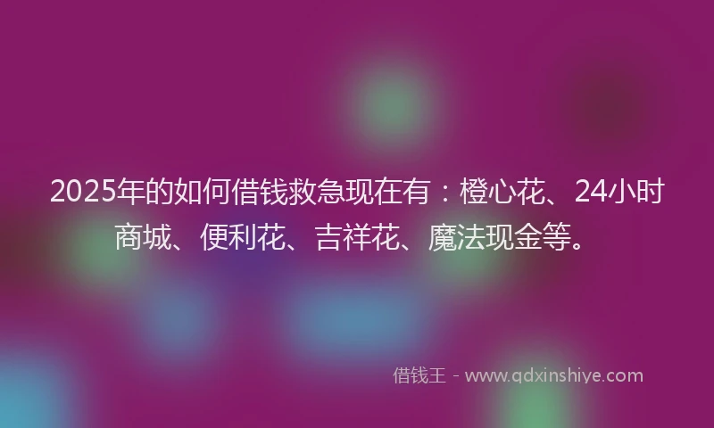 2025年的如何借钱救急现在有：橙心花、24小时商城、便利花、吉祥花、魔法现金等。