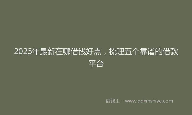2025年最新在哪借钱好点，梳理五个靠谱的借款平台