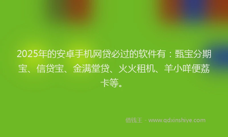 2025年的安卓手机网贷必过的软件有：甄宝分期宝、信贷宝、金满堂贷、火火租机、羊小咩便荔卡等。
