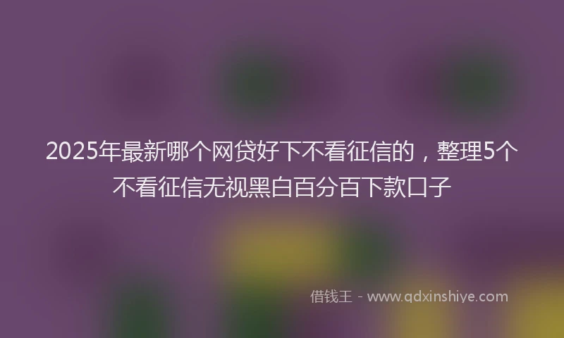 2025年最新哪个网贷好下不看征信的，整理5个不看征信无视黑白百分百下款口子