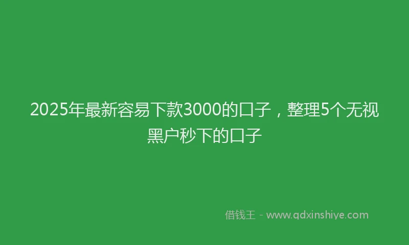 2025年最新容易下款3000的口子，整理5个无视黑户秒下的口子