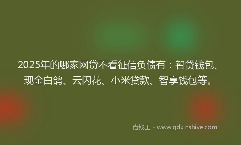 2025年的哪家网贷不看征信负债有：智贷钱包、现金白鸽、云闪花、小米贷款、智享钱包等。