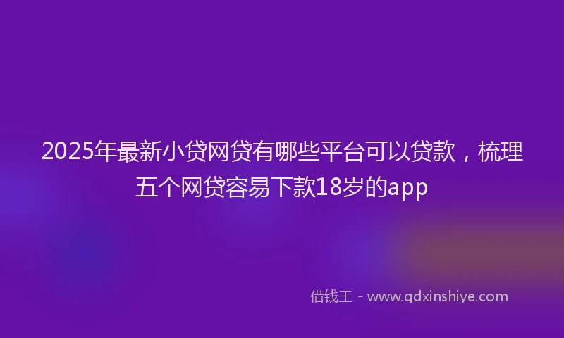 2025年最新小贷网贷有哪些平台可以贷款，梳理五个网贷容易下款18岁的app