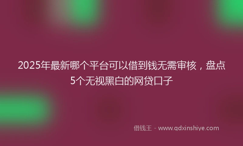 2025年最新哪个平台可以借到钱无需审核，盘点5个无视黑白的网贷口子