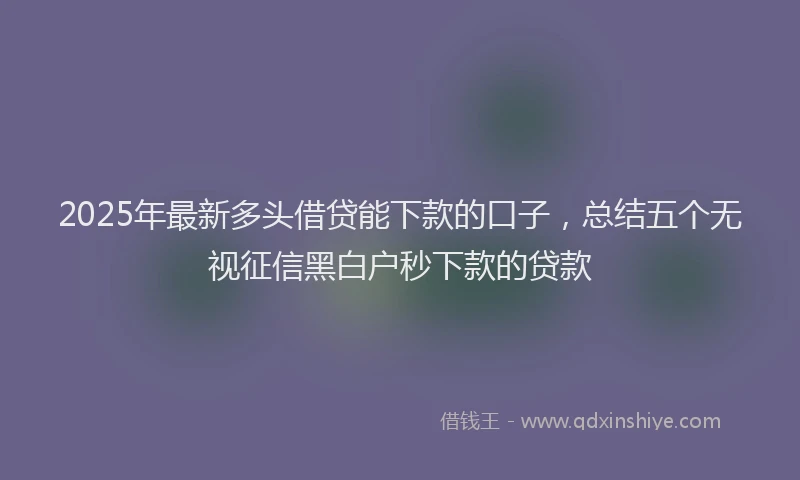 2025年最新多头借贷能下款的口子，总结五个无视征信黑白户秒下款的贷款