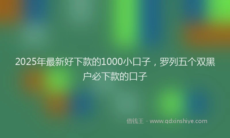 2025年最新好下款的1000小口子，罗列五个双黑户必下款的口子