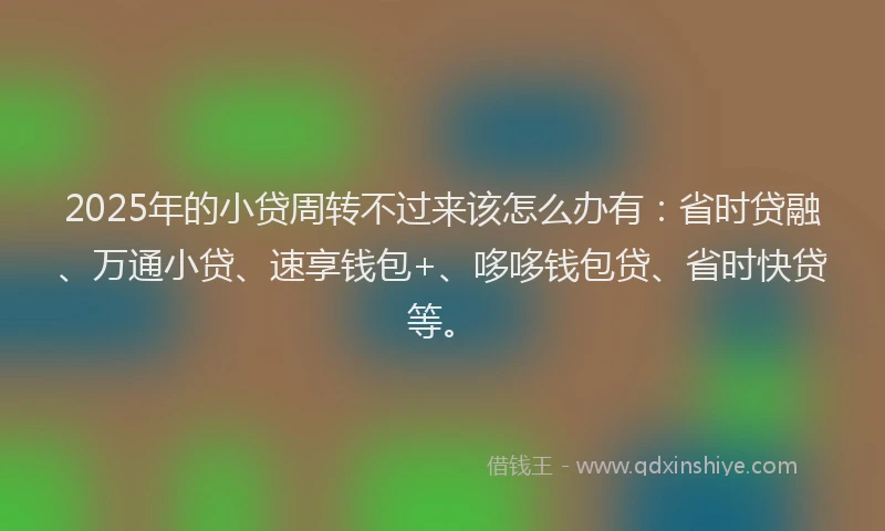 2025年的小贷周转不过来该怎么办有：省时贷融、万通小贷、速享钱包+、哆哆钱包贷、省时快贷等。