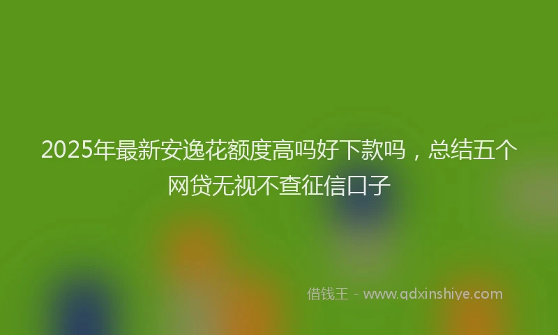 2025年最新安逸花额度高吗好下款吗，总结五个网贷无视不查征信口子