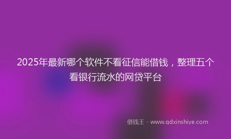 2025年最新哪个软件不看征信能借钱，整理五个看银行流水的网贷平台