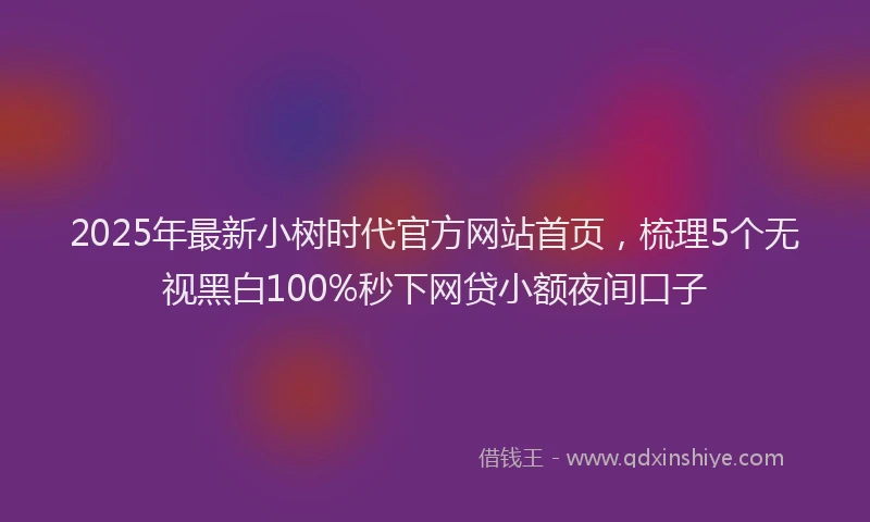 2025年最新小树时代官方网站首页，梳理5个无视黑白100%秒下网贷小额夜间口子