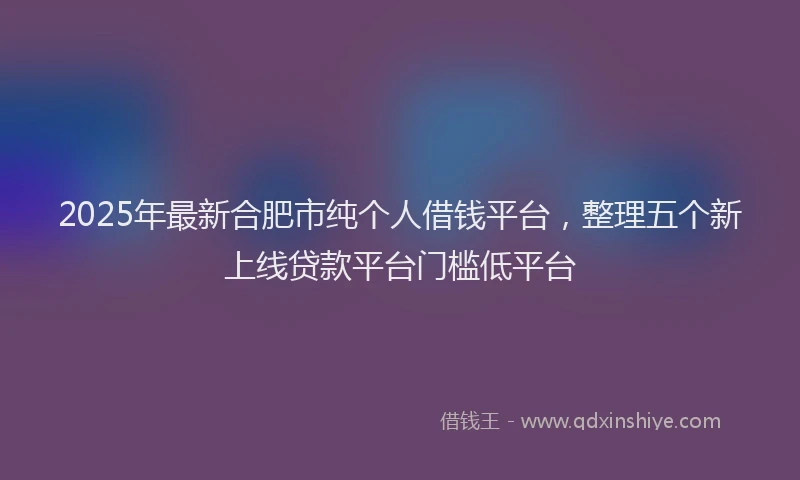 2025年最新合肥市纯个人借钱平台，整理五个新上线贷款平台门槛低平台