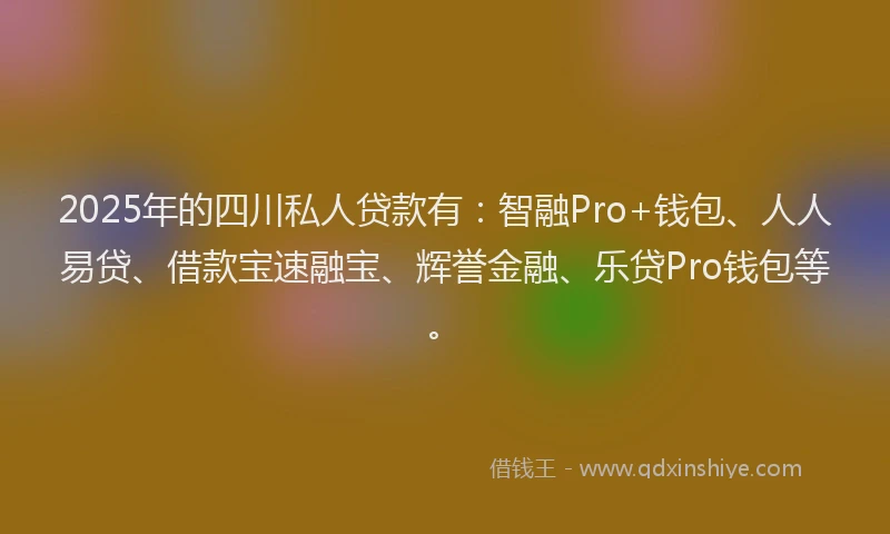 2025年的四川私人贷款有：智融Pro+钱包、人人易贷、借款宝速融宝、辉誉金融、乐贷Pro钱包等。