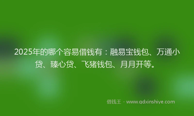 2025年的哪个容易借钱有：融易宝钱包、万通小贷、臻心贷、飞猪钱包、月月开等。