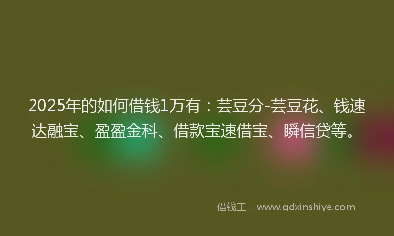 2025年的如何借钱1万有：芸豆分-芸豆花、钱速达融宝、盈盈金科、借款宝速借宝、瞬信贷等。