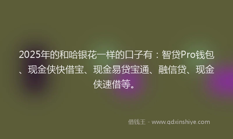 2025年的和哈银花一样的口子有：智贷Pro钱包、现金侠快借宝、现金易贷宝通、融信贷、现金侠速借等。