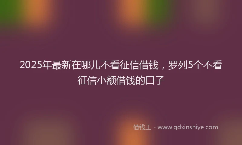 2025年最新在哪儿不看征信借钱，罗列5个不看征信小额借钱的口子