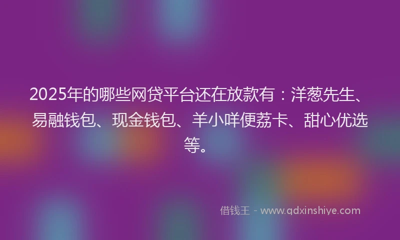 2025年的哪些网贷平台还在放款有：洋葱先生、易融钱包、现金钱包、羊小咩便荔卡、甜心优选等。