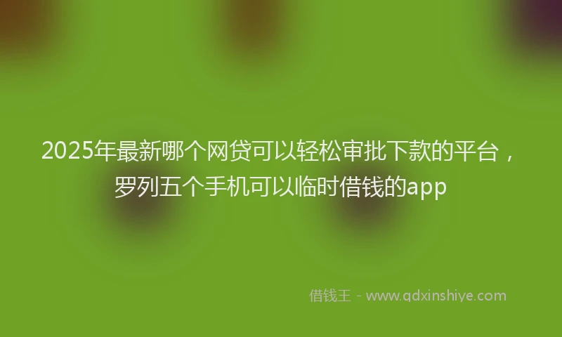 2025年最新哪个网贷可以轻松审批下款的平台，罗列五个手机可以临时借钱的app