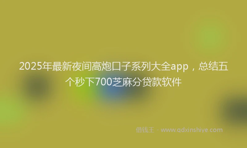 2025年最新夜间高炮口子系列大全app，总结五个秒下700芝麻分贷款软件