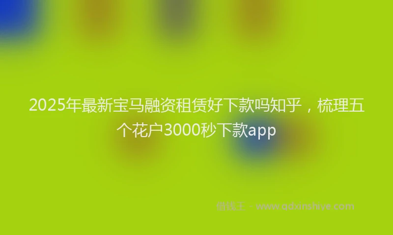 2025年最新宝马融资租赁好下款吗知乎，梳理五个花户3000秒下款app