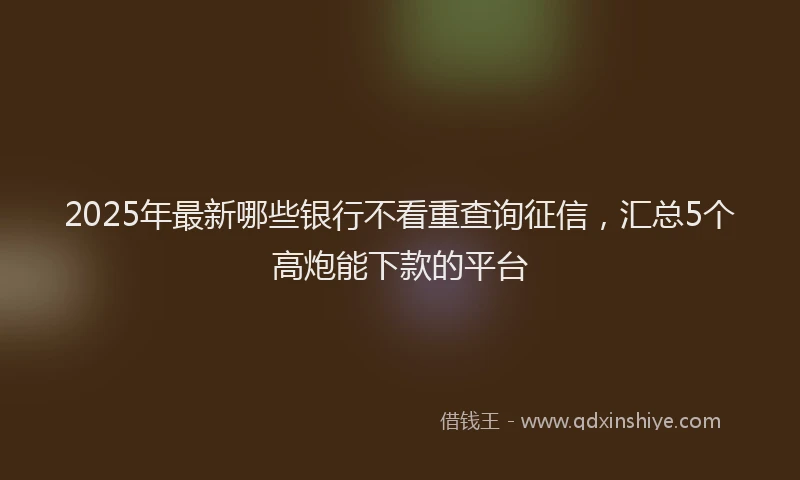 2025年最新哪些银行不看重查询征信，汇总5个高炮能下款的平台