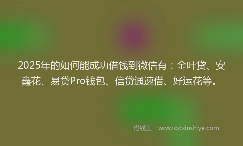 2025年的如何能成功借钱到微信有：金叶贷、安鑫花、易贷Pro钱包、信贷通速借、好运花等。