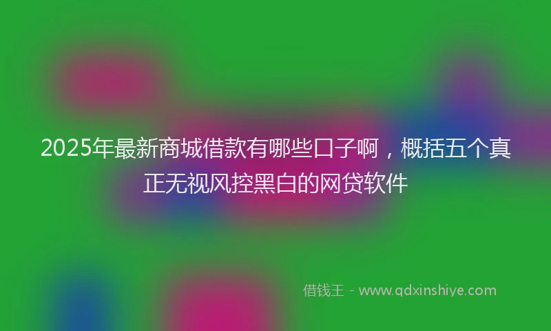 2025年最新商城借款有哪些口子啊，概括五个真正无视风控黑白的网贷软件