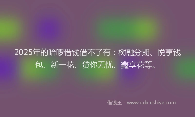 2025年的哈啰借钱借不了有：树融分期、悦享钱包、新一花、贷你无忧、鑫享花等。