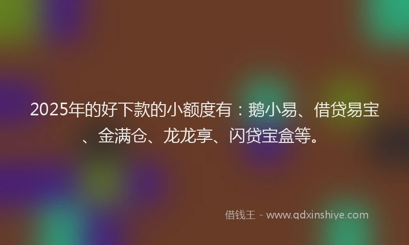 2025年的好下款的小额度有：鹅小易、借贷易宝、金满仓、龙龙享、闪贷宝盒等。