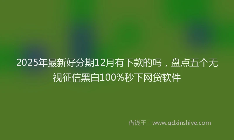 2025年最新好分期12月有下款的吗，盘点五个无视征信黑白100%秒下网贷软件